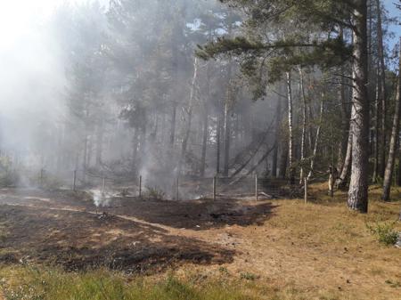 Formby Pinewoods Fire 270520