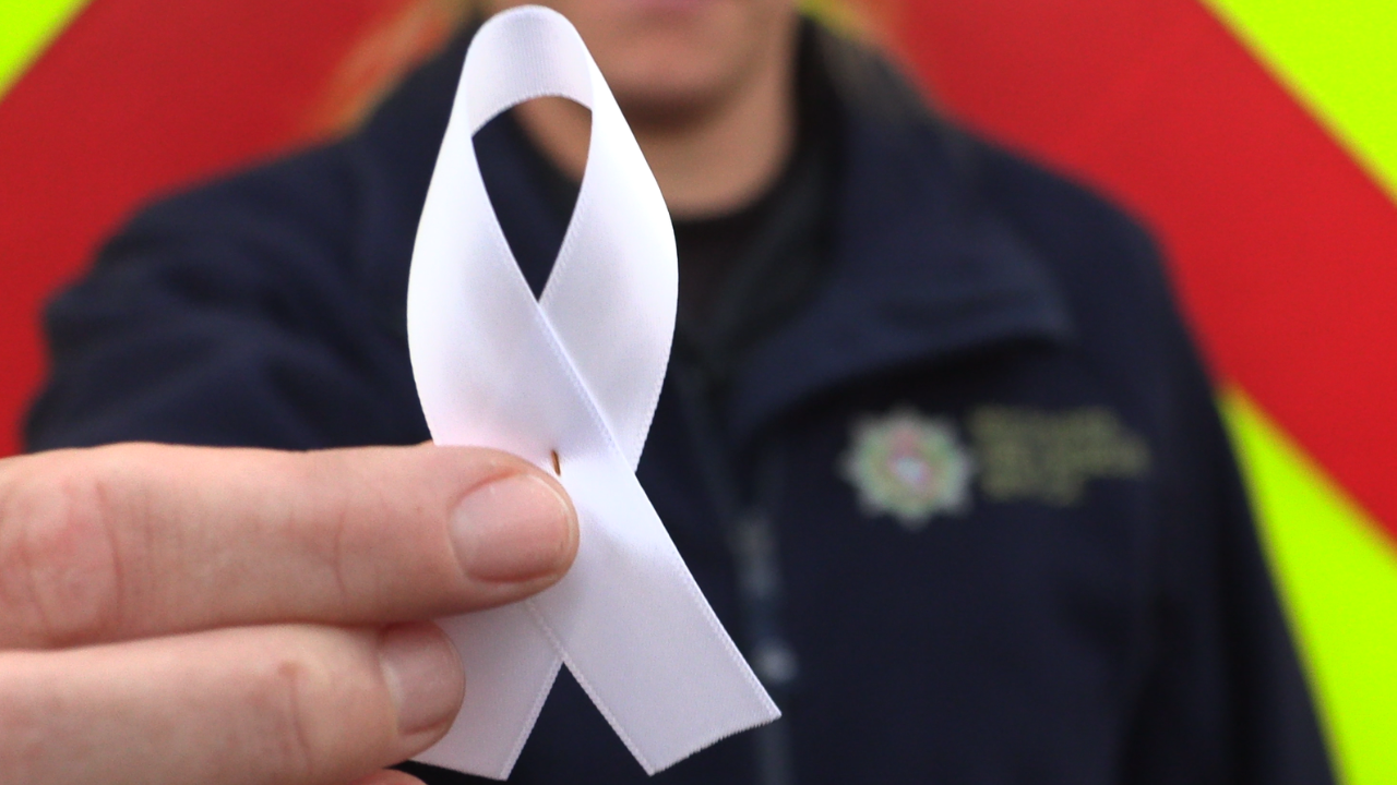 White Ribbon Hot News
